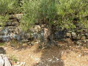 Październik / listopad 2019 Kreta, Ateny Październik / listopad 2019 Kreta, Ateny